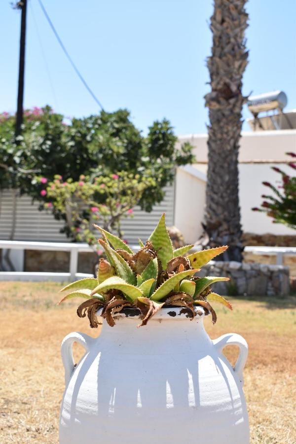 Hotel Aegeon Mylopotas Luaran gambar